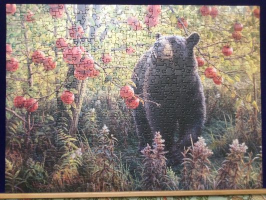 Bear in den jigsaw puzzle image
